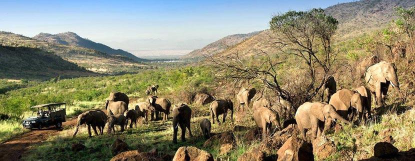 Kwa Maritane Bush Lodge | Pilanesberg Game Reserve