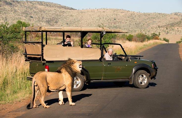 Tshukudu Bush Lodge | Pilanesberg | South Africa